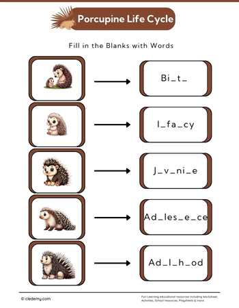 Porcupine Life Cycle: Fill in The Blanks