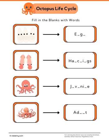 Octopus Life Cycle: Fill in The Blanks