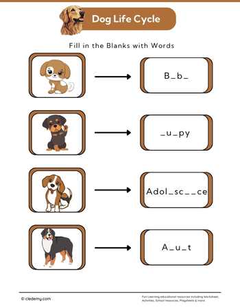 Dog Life Cycle: Fill in The Blanks