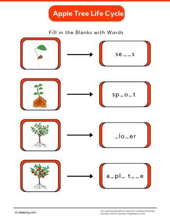 Apple Tree Life Cycle: Fill in The Blanks