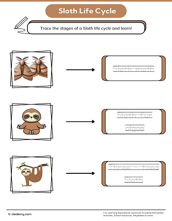 Sloth Life Cycle Word Tracing