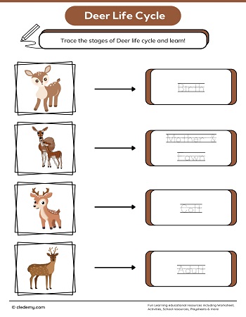 worksheet