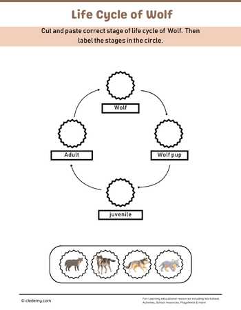 Wolf Life Cycle Cut and Paste Activity