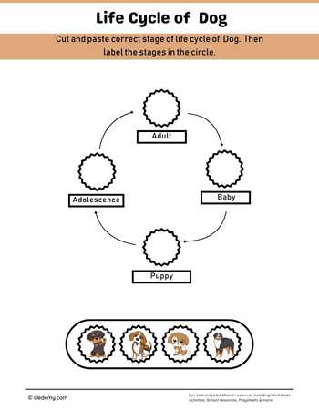 Dog Life Cycle Cut and Paste Activity