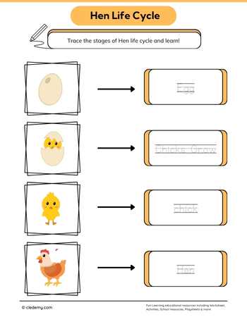Hen Life Cycle Word Tracing