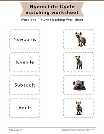 Hyena Life Cycle Word and Picture Matching