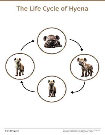 The Life Cycle of a Hyena: Learn and Write