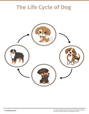 The Life Cycle of a Dog: Learn and Write