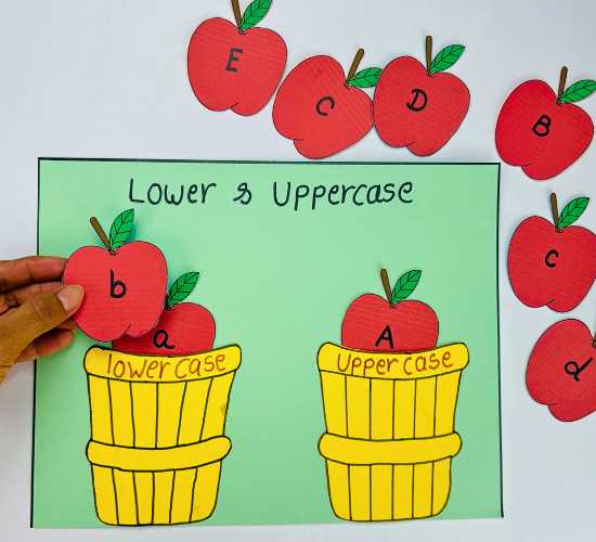 Lowercase and Uppercase Letter Sorting