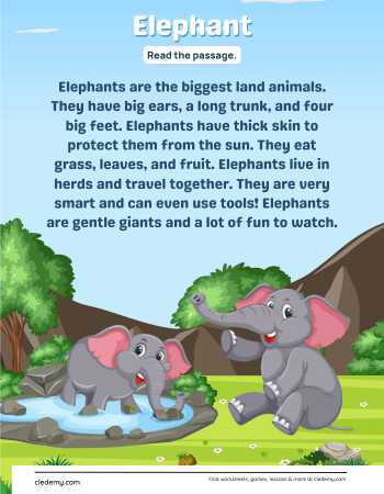 Elephant True or False