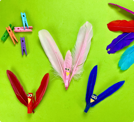 Clothespeg Bird Craft