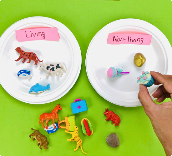 Living and Non Living Things