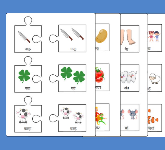 Fun Irregular Plurals Jigsaws(Hindi)