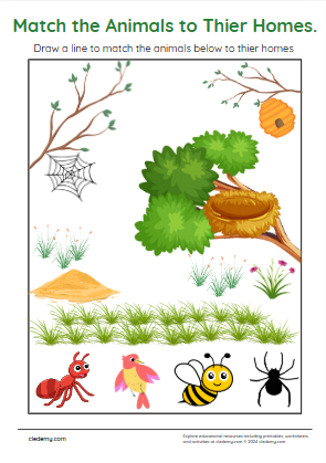 worksheet