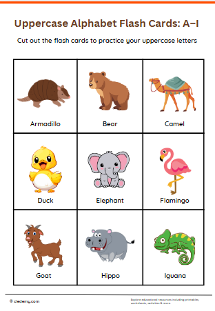 Uppercase Alphabet Flash Cards