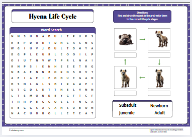 Hyena Life Cycle Word Search