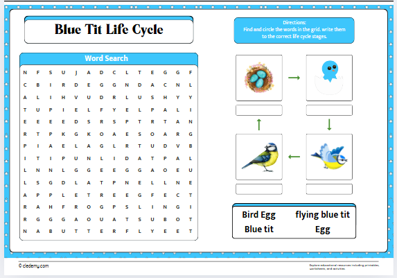 Blue Tit Life Cycle Word Search