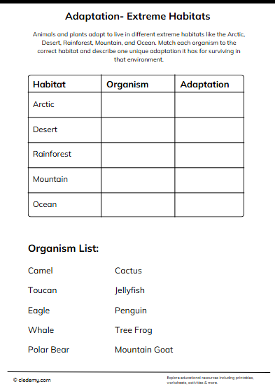 worksheet