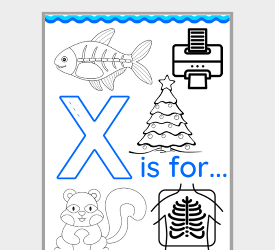 Uppercase Letter X Words