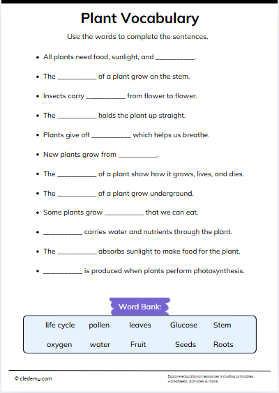 Plant Vocabulary