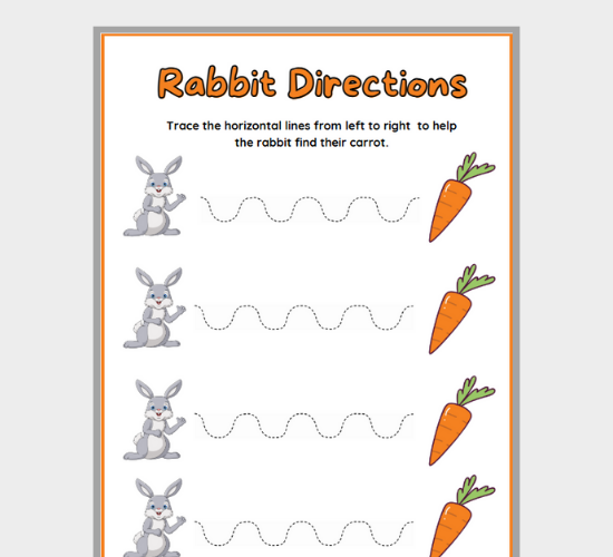 Rabbit Directions Adventure