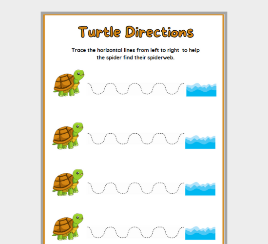 Turtle Directions Line Tracing