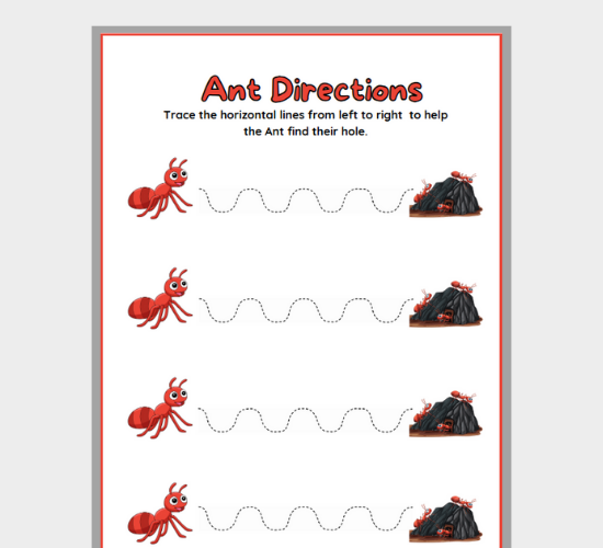 Ant Line Tracing