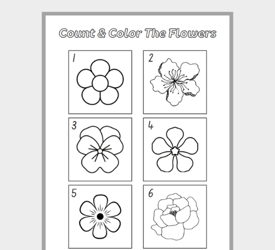 Count and Color the Flowers
