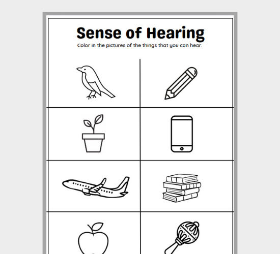 Sense of Hearing