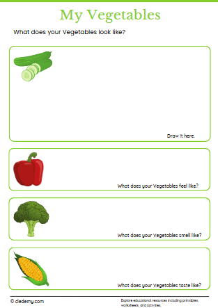 My Vegetables
