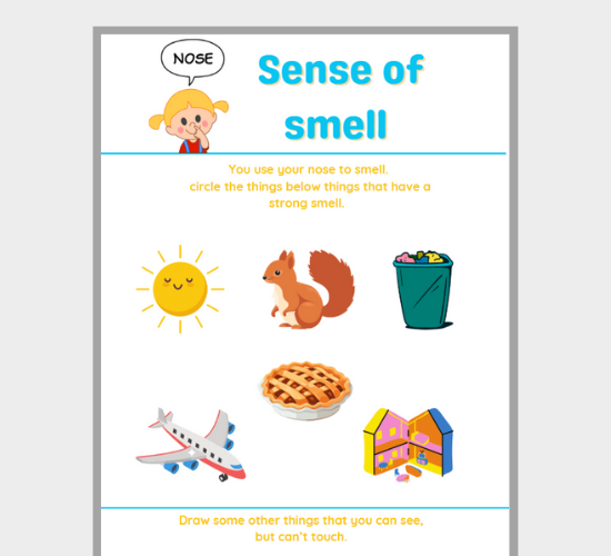 Sense of Smell: What Can You Sniff?