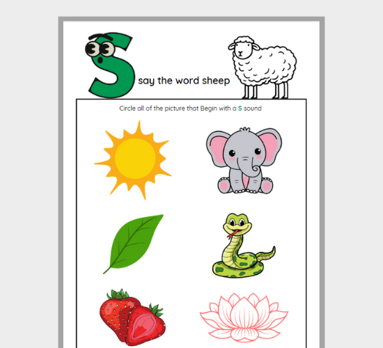 S Sound Words: Circle the S Pictures