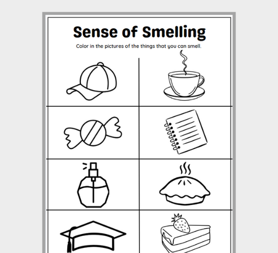 Smell and Color: A Fun Activity
