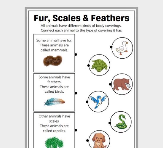 worksheet