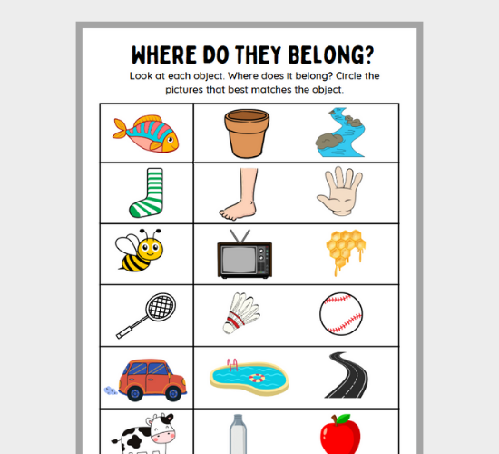 Object Match-Up: Where Do They Belong?