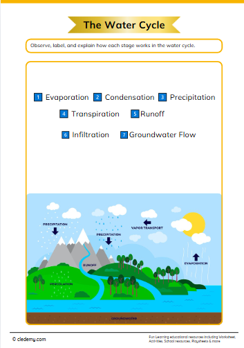 Know About the Water Cycle