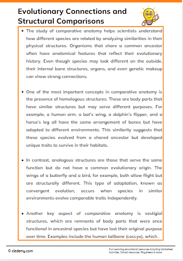 Evolutionary Connections and Structural Comparisons