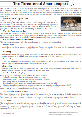 The Threatened Amur Leopard