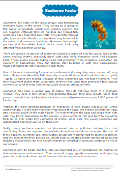 Seahorse Facts