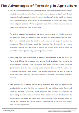 The Advantages of Terracing in Agriculture