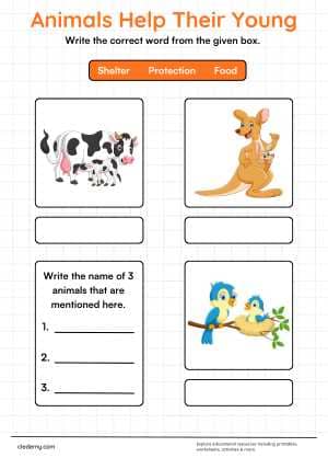 worksheet
