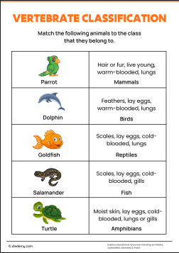Animal Classification Vertebrate