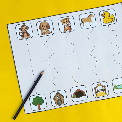 Animals & Their Habitats Tracing