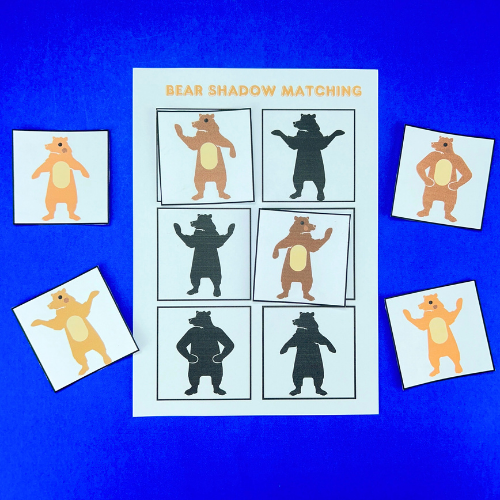 Bear Shadow Matching