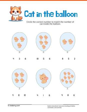 Cat in the balloon