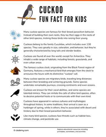 Interesting Fun Facts About Cuckoos