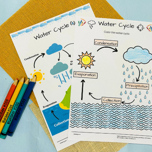 Discuss the water cycle Activity