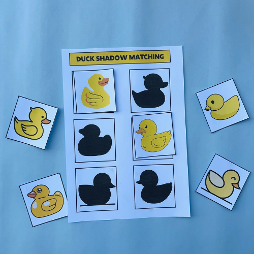 Duck Shadow Matching