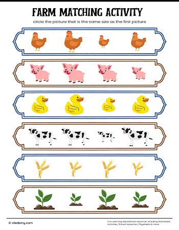 Farm Matching Activity