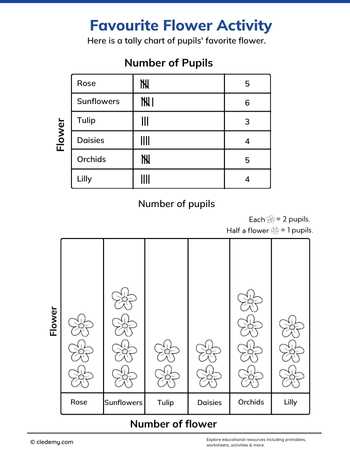 Favourite Flower Statistics